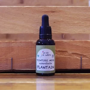 Plantain - Teinture mère essentielle Bio