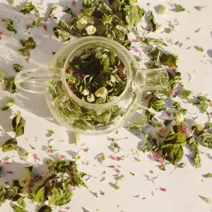 Sous les étoiles – Sommeil Bio