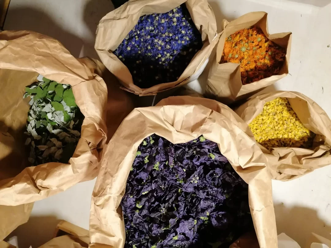 www.unbrindecueillette.fr préparation tisane sacs