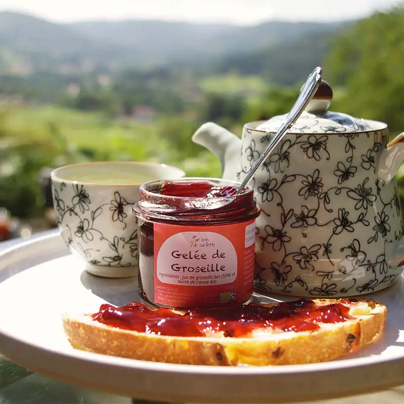 GELEE-GROSEILLE-SCENE-Un-brin-de-Cueillete-Laure-GUILLOT-Paysanne-herboriste-Vosges