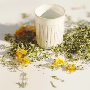 TISANE-Digeste-Un-brin-de-Cueillete-Laure-GUILLOT-Paysanne-herboriste-Vosges