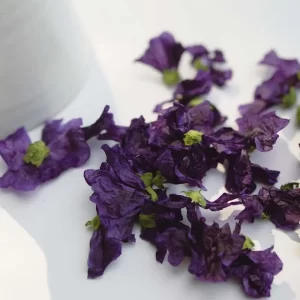 TISANE-JE-ME-RENOUVELLE-2-Un-brin-de-Cueillete-Laure-GUILLOT-Paysanne-herboriste-Vosges