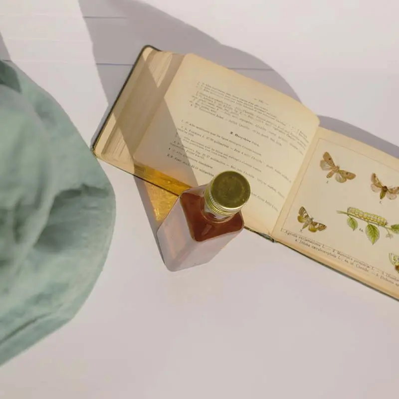 Vinaigre Sureau - Un brin de Cueillette - Laure GUILLOT - Paysanne herboriste Vosges