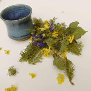 Tisane-Un chat dans la gorge-Un-brin-de-Cueillette-Laure-GUILLOT-Paysanne-herboriste-Vosges