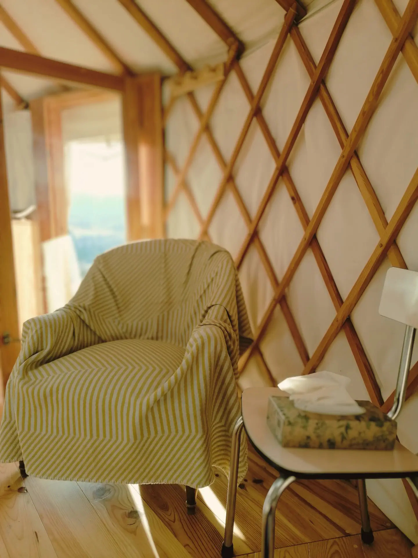 IMG_20260121_153753 - Modifié